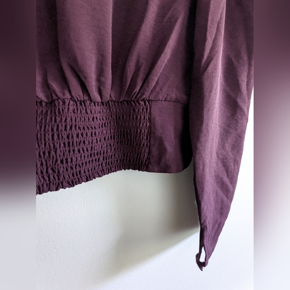 Burgundy Ruched Long Sleeve Express Blouse - Picture 4 of 7